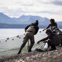 Students pulling nets out of the water at the Alaska Salmon Camps