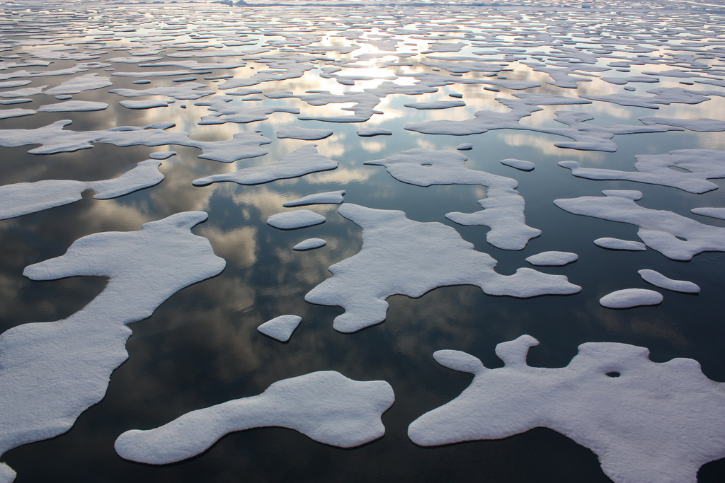 Arctic ice with water between large chunks of ice.