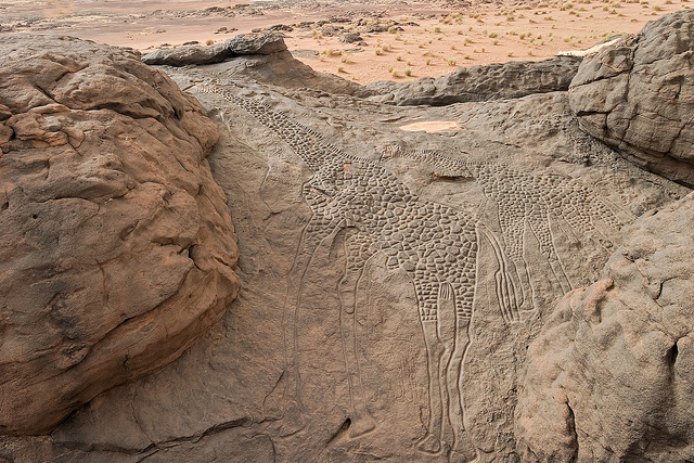 Giraffe rock carvings in the Sahara Desert (photo: Matthew Paulson)