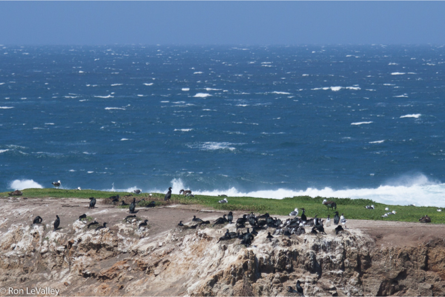 Ocean winds drive upwelling and productivity along certain coastlines. (photo: Ron LaValley)