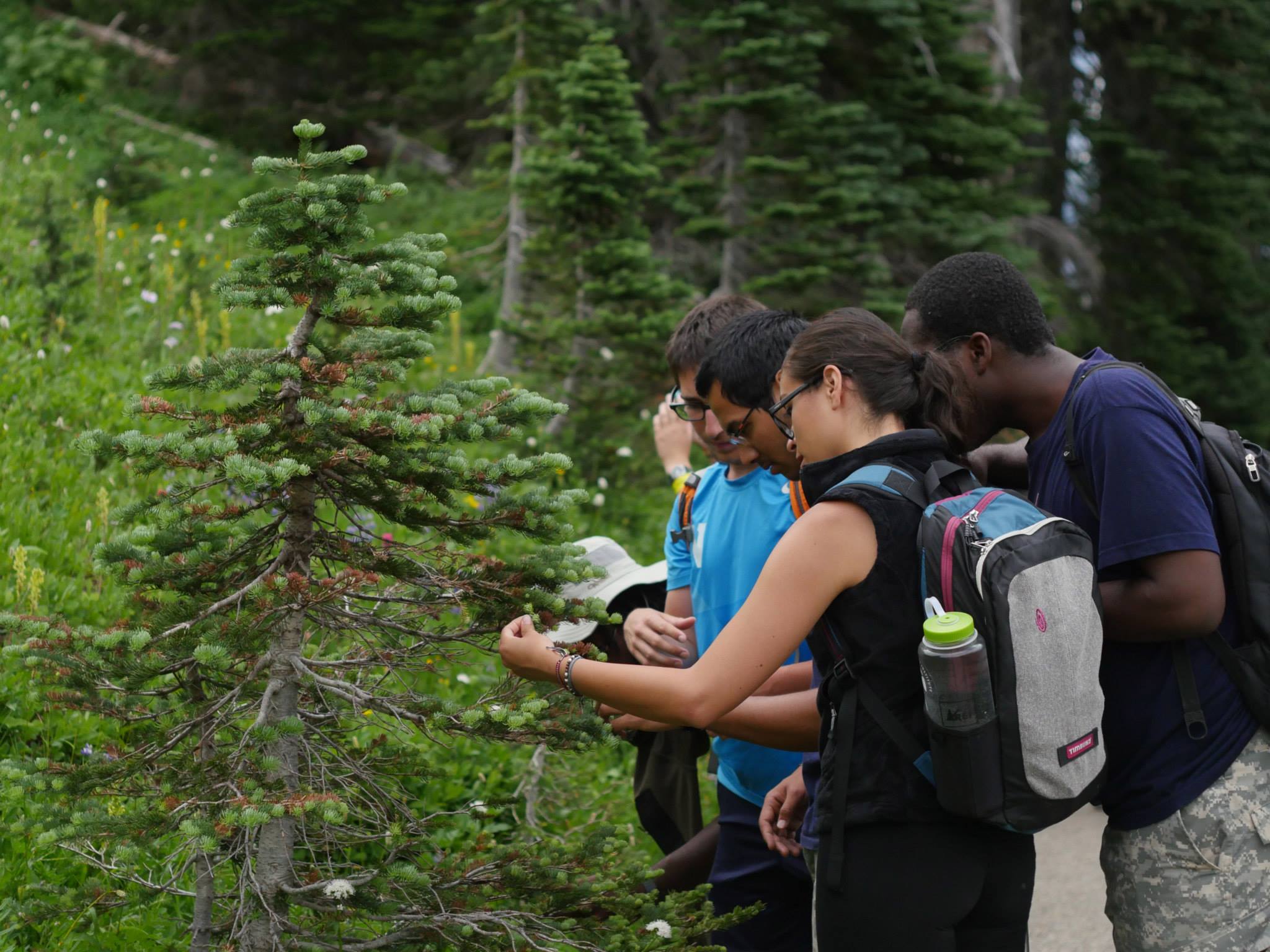 Doris Duke Conservation Scholars at UW are helping define how diverse groups shape conservation.