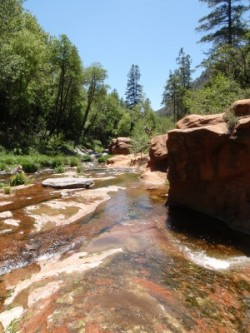 Oak Creek, in the Verde River Basin of Arizona