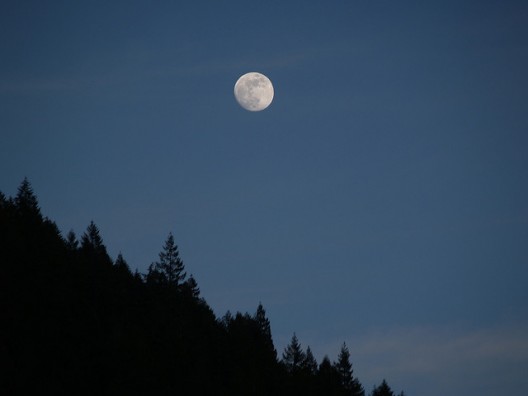 Moon over Douglas Firs