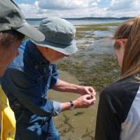 Students and instructors check out a marine worm that lives along Griffin Bay's sandy shores.