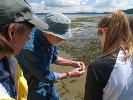 Students and instructors check out a marine worm that lives along Griffin Bay's sandy shores.