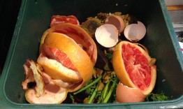 Composting food waste remains your best option, says UW study