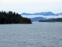 Marine microbes were collected from a low-oxygen fjord in Barkley Sound, off the coast of British Columbia.