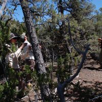 Abigail Swann, Dave Minor and Juan Villegas take measurements of live and dead trees in central New Mexico.