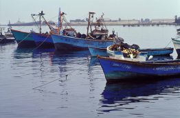Fishing boats in coastal Peru.