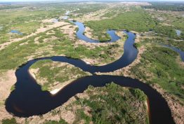 The Kissimmee River in central Florida. This ecosystem-scale restoration project began two decades ago and is used as an example in the study.