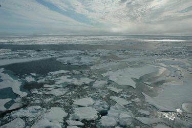 Arctic sea ice, as seen from an ice breaker ship in 2014.