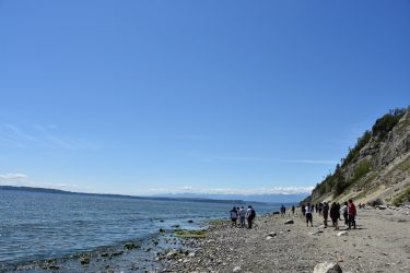 Students in Terry Swanson's Introduction to Geology course walking north along Double Bluff Beach on Whidbey Island, examining geologic features as they go.