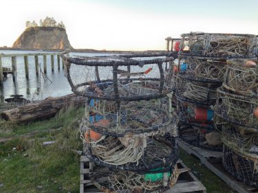 Crab fishing gear sits in port at La Push after a delayed opening season.