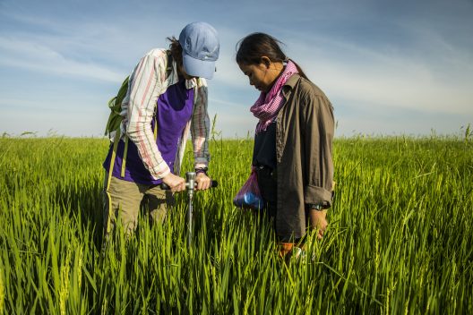 Two women stand in a field and look down at a soil sampling instrument sticking out of the ground