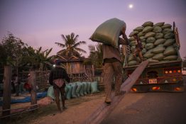 After dusk, a man loads rice onto a truck laden with dozens of other huge green bags