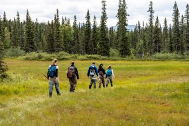 A class hike across the tundra on their way back to camp.
