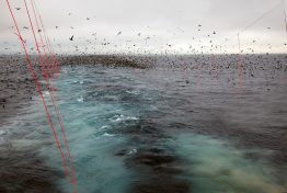 Deploying behind boats in Alaska longline fisheries has saved thousands of seabirds per year.