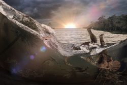 A meteor impact 66 million years ago generated a tsunami-like wave in an inland sea that killed and buried fish, mammals, insects and a dinosaur, the first victims of Earth’s most recent mass extinction event. 