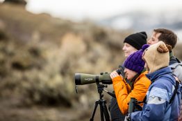 UW Professors Aaron John Wirsing and John Marzluff and UW students spend their spring break at Yellowstone National Park conducting research on otters, pronghorn antelope, bighorn sheep and common ravens. Students also track reintroduced gray wolves through the snow, set traps for bald and golden eagles.