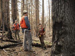 Students from Prof Brian Harvey’s Lab conduct research of the Norse Fire from 2017 in the Snoqualmie National Forest.