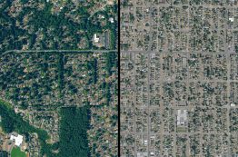An aerial view showing the differences in tree cover in two neighboring cities.
