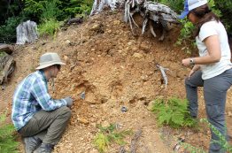 Will Struble and Alison Duvall dig into a landslide deposit near the community of Sitkum, Oregon.