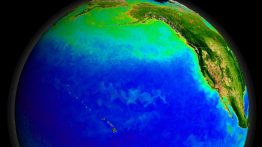 Visualization of plankton in the north Pacific Ocean