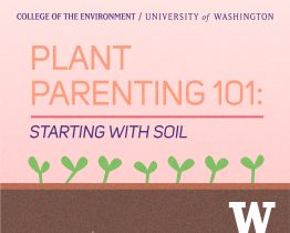 Plant parenting graphic