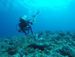 Divya Panicker set out the underwater microphone, or hydrophone, off India’s Kavaratti Island.