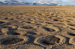 Circles of stones in Svalbard, Norway. Each circle measures roughly 10 feet, or 3 meters, across. A mountain range is in the background behind the stone field.