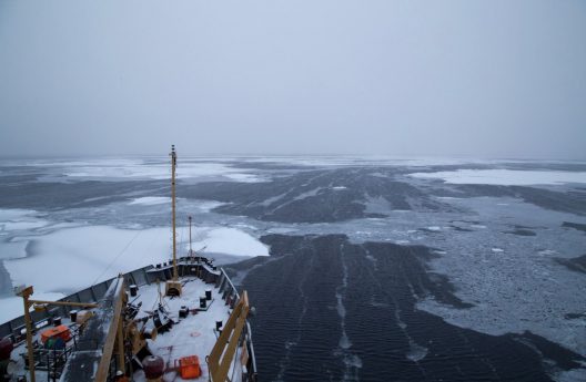 A ship-based view of the Arctic Ocean where the ocean surface is starting to freeze.