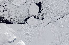 Landsat 9 satellite imagery shows the fractured front of the Crosson Ice Shelf in the Amundsen Sector of West Antarctica. The pace of the ice shelf’s retreat slowed in this region from 2003 to 2015. New research shows that changes in offshore winds brought less warm seawater into contact with the glacier.
