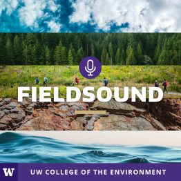 FieldSound Podcast logo.