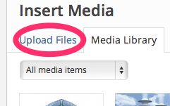 A screenshot of the 'Upload file' button in WordPress